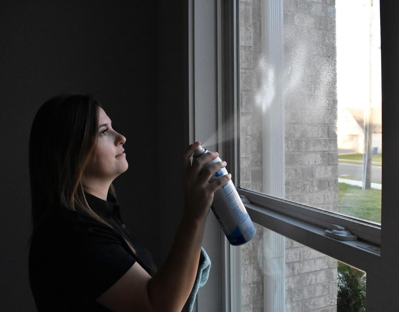 cleaner-spraying-window